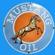 Porcelain Mustang Oil Enamel Sign Size 30x30 Inches Double Sided